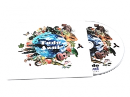 DVD konfektioniert in einer Kartonstecktasche